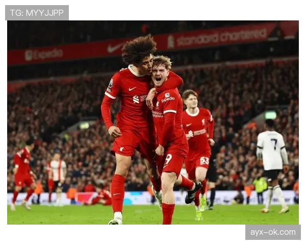 热刺首进欧冠决赛,誓创队史新篇章 热刺首进欧冠决赛,誓创队史新篇章