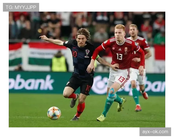 匈牙利国家队“魔术师”闪耀赛场，率队突破晋级欧洲杯新篇章