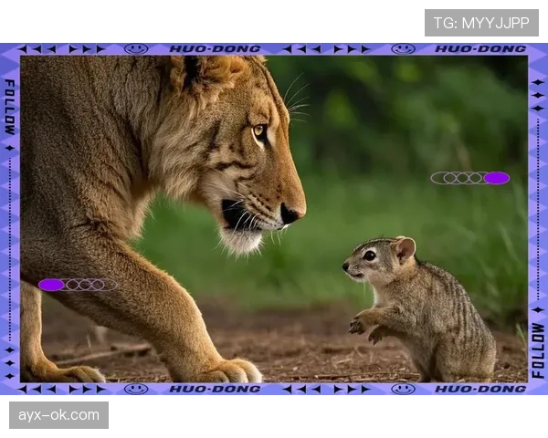 喀麦隆“不可征服狮子”:野生动物保护迎来新挑战与机遇 喀麦隆“不可征服狮子”:野生动物保护迎来新挑战与机遇