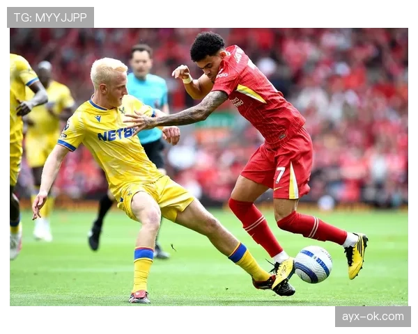 水晶宫新赛季雄心勃勃：重塑英超竞争力之路面临严峻考验