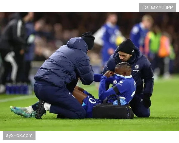 富勒姆球迷集体发声抗议，捍卫球队文化与核心价值观