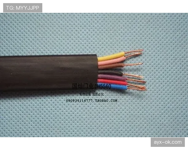 界定整体过门线的规则拆解：何时判定进球有效？